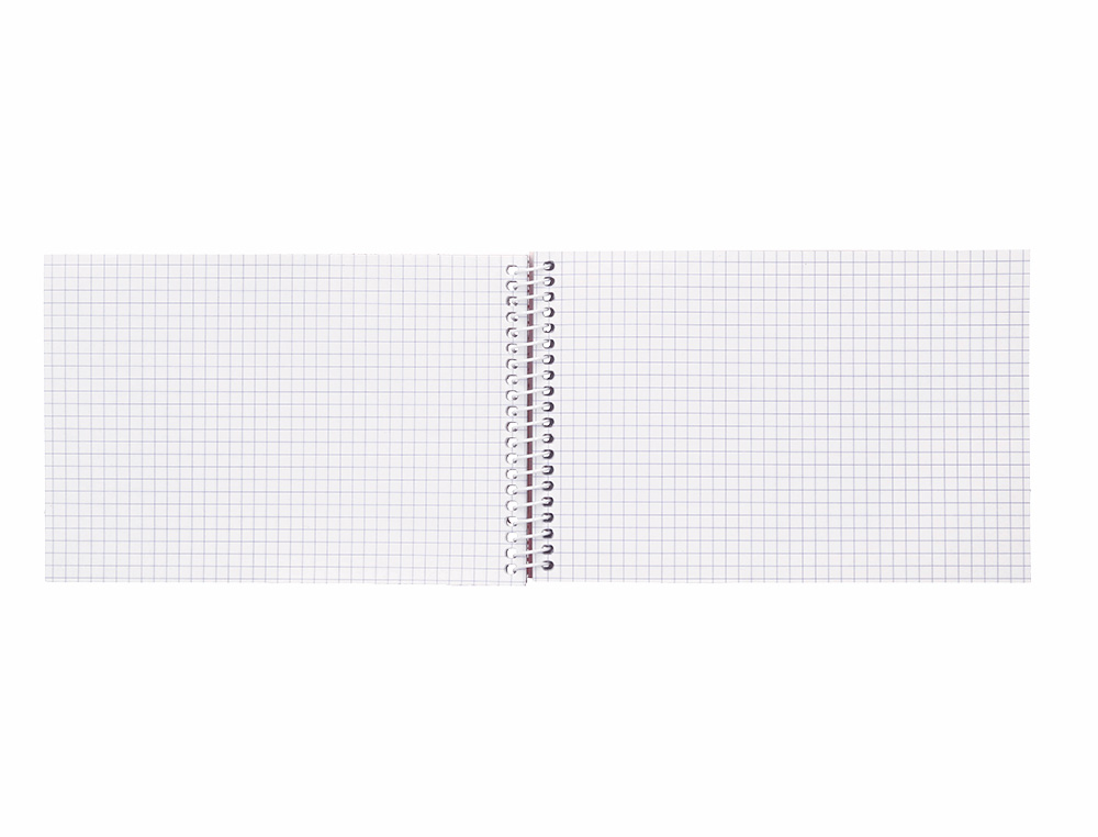 CUADERNO ESPIRAL LIDERPAPEL BOLSILLO DOCEAVO APAISADO WITTY TAPA DURA 80H 75GR CUADRO 4 MM COLORES SURTIDOS